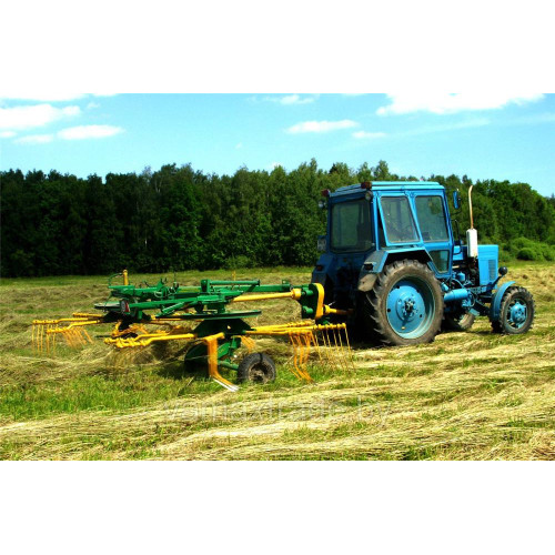 Грабли-ворошилки роторные ГВР-630